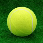 Мяч для большого тенниса самый дешёвый s-dostavka - магазин СпортДоставка. Спортивные товары интернет магазин в Хасавюрте 