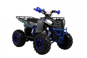 Квадроцикл Wels ATV THUNDER EVO 125 s-dostavka Серый - магазин СпортДоставка. Спортивные товары интернет магазин в Хасавюрте 